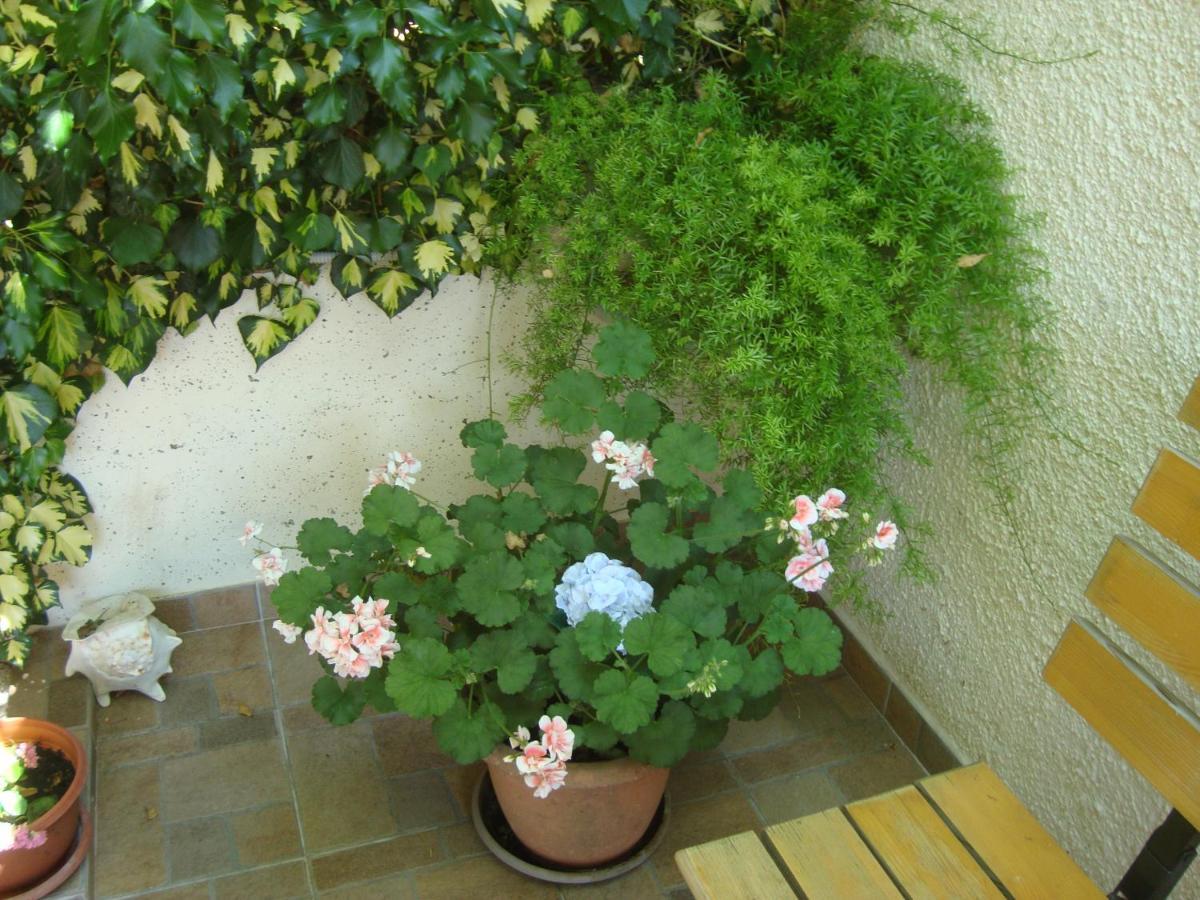 Studio Apartment Lile Trstenik  Bagian luar foto